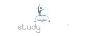 media digital marketing expert